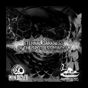 Vinyl Fetish / Eternal Darkness Of The Spotless Mindcut
